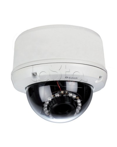 IP-камера видеонаблюдения уличная купольная D-Link DCS-6510/EP в Коломне IP-камеры Pintop.ru